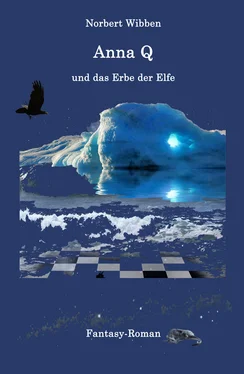 Norbert Wibben Anna Q und das Erbe der Elfe обложка книги