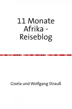 Wolfgang Strauß Elf Monate in Afrika обложка книги