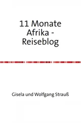 Wolfgang Strauß - Elf Monate in Afrika