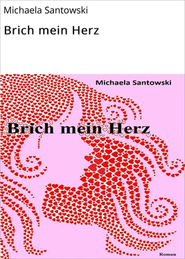 Michaela Santowski Brich mein Herz обложка книги