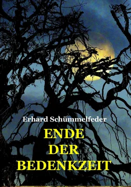 Erhard Schümmelfeder ENDE DER BEDENKZEIT обложка книги