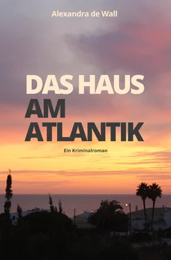 Alexandra de Wall Das Haus am Atlantik обложка книги