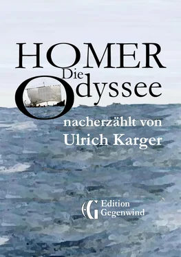 Ulrich Karger Homer: Die Odyssee обложка книги