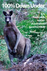 Wolf Stein - 100% Down Under