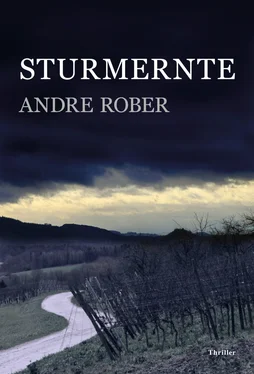 Andre Rober Sturmernte обложка книги