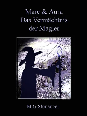 Gabriele Steininger Die Atlanten von Wheed обложка книги