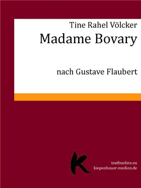 Tine Rahel Völcker MADAME BOVARY обложка книги