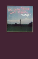 Reinhold Ziegler - Von einem Traum zum anderen