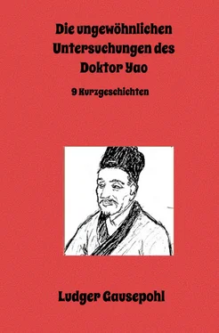 Ludger Gausepohl Die ungewöhnlichen Untersuchungen des Doktor Yao обложка книги