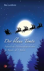Bea Lundkvist - Der blaue Tomte