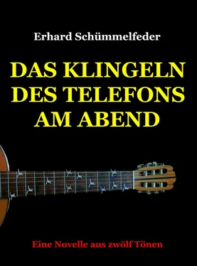 Erhard Schümmelfeder Das Klingeln des Telefons am Abend обложка книги