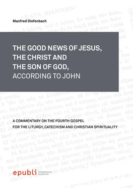 Manfred Diefenbach THE GOOD NEWS OF JESUS, THE CHRIST AND THE SON OF GOD, ACCORDING TO JOHN обложка книги