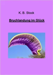 K. B. Stock - Bruchlandung im Glück