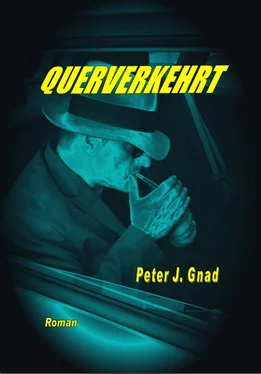 Peter J. Gnad Querverkehrt обложка книги