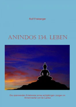 Rolf Freiberger Anindos 134. Leben обложка книги