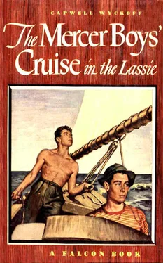 Capwell Wyckoff The Mercer Boys' Cruise in the Lassie обложка книги
