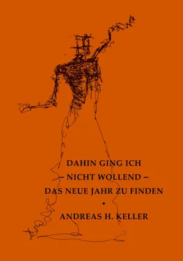 Andreas H. Keller dahin ging ich - nicht wollend - das neue jahr zu finden обложка книги