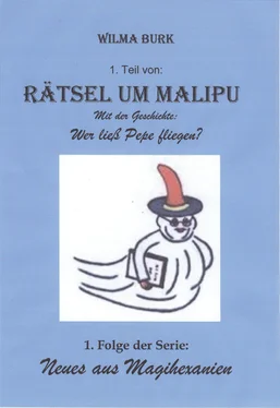 Wilma Burk Rätsel um Malipu 1. Teil обложка книги