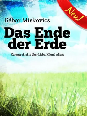 Gábor Miskovics Das Ende der Erde обложка книги