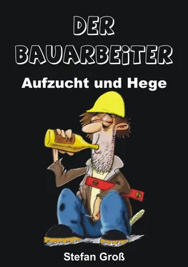 Stefan Groß Der Bauarbeiter - Aufzucht und Hege обложка книги