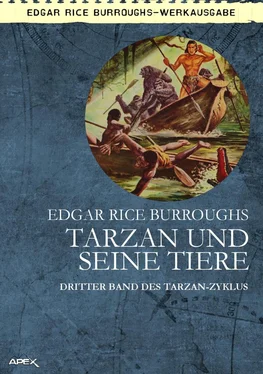 Edgar Burroughs TARZAN UND SEINE TIERE обложка книги