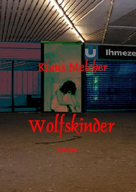 Klaus Melcher Wolfskinder обложка книги