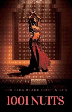 Antoine Galland Les plus beaux contes des 1001 nuits обложка книги