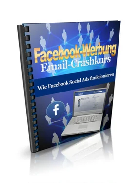 Thomas Schmid Facebook-Werbung обложка книги
