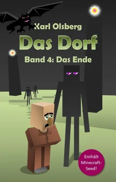 Karl Olsberg Das Dorf Band 4: Das Ende обложка книги
