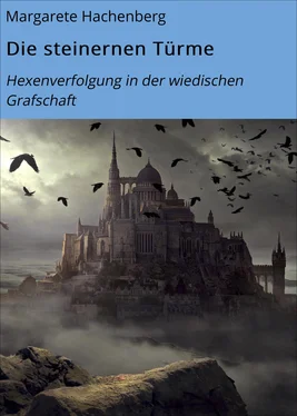 Margarete Hachenberg Die steinernen Türme обложка книги