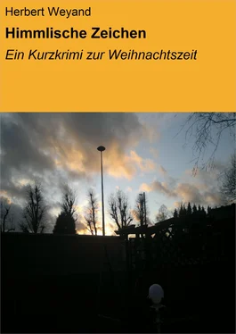 Herbert Weyand Himmlische Zeichen обложка книги