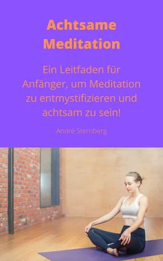 André Sternberg Achtsame Meditation обложка книги