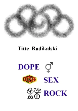 Titte Radikalski DOPE SEX ROCK обложка книги