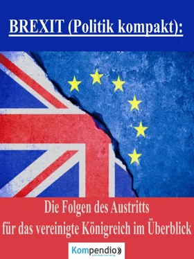 Alessandro Dallmann BREXIT (Politik kompakt): обложка книги