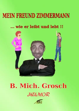 Bernd Michael Grosch Mein Freund Zimmermann обложка книги