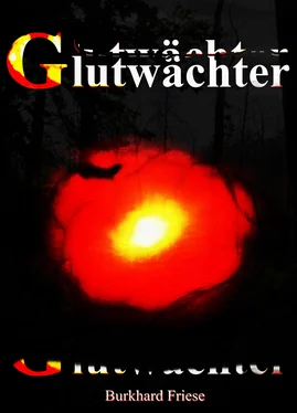Burkhard Friese Glutwächter обложка книги