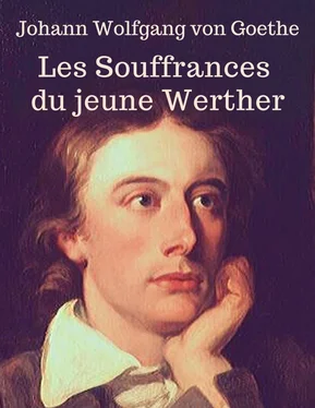 Johann Wolfgang von Goethe Les Souffrances du jeune Werther (En lettres d'ancre) обложка книги