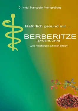 Dr. med Hanspeter Hemgesberg Berberitze обложка книги
