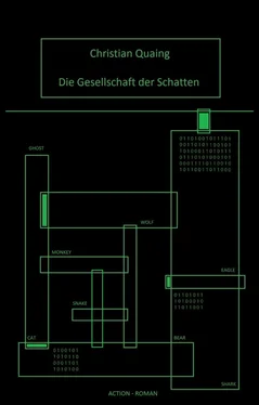 Christian Quaing Die Gesellschaft der Schatten обложка книги