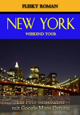 Roman Plesky New York Weekend Tour обложка книги