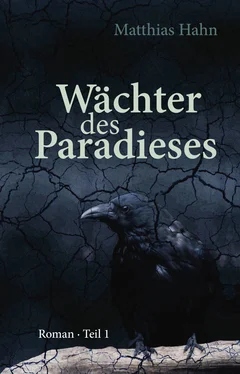 Matthias Hahn Wächter des Paradieses обложка книги