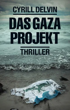 Cyrill Delvin Das Gaza Projekt обложка книги