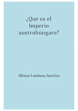 Alfonso Lombana Sánchez ¿Qué es el Imperio austrohúngaro? обложка книги