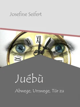 Josefine Seifert Juébù обложка книги