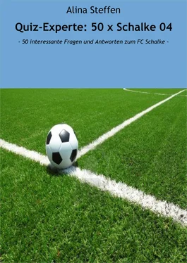 Alina Steffen Quiz-Experte: 50 x Schalke 04 обложка книги