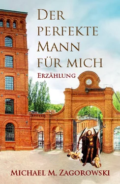 Michael M. Zagorowski Der perfekte Mann für mich обложка книги