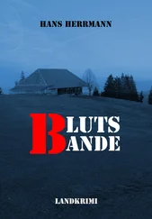 Hans Herrmann - Blutsbande