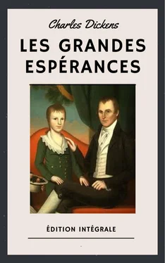 Charles Dickens Les Grandes Espérances (Édition intégrale) обложка книги