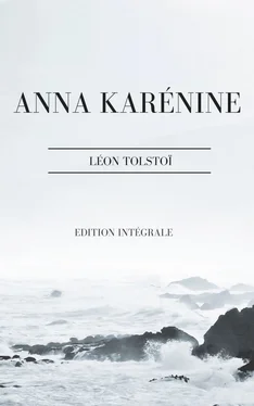 León Tolstoi Anna Karénine обложка книги