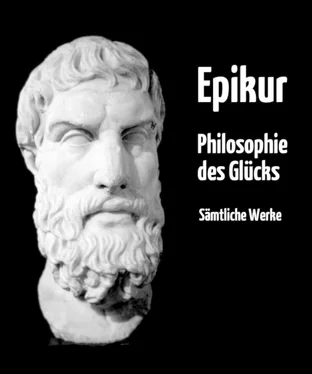 Epikur Epikouros Philosophie des Glücks обложка книги